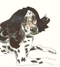 Illustration of a dog with a wig on