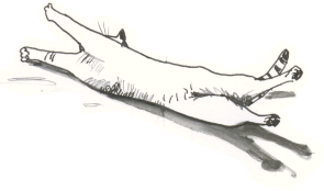 Illustration of a cat stretching