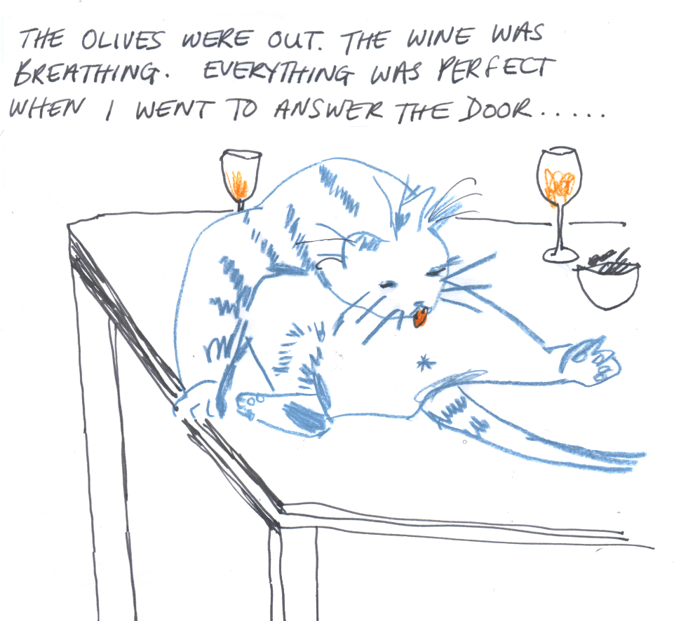 Illustration of a man a cat