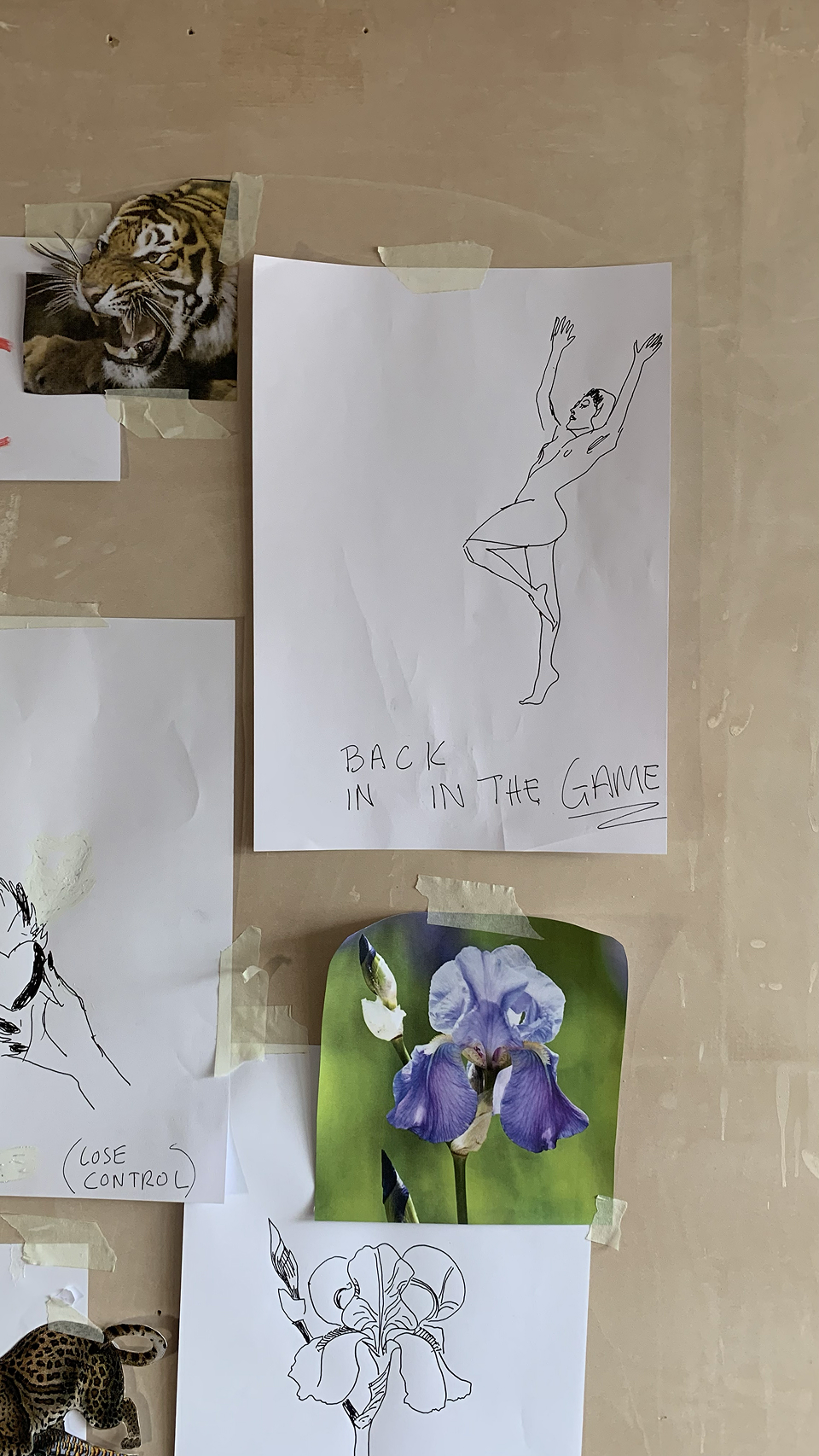 Zara Illustration 4