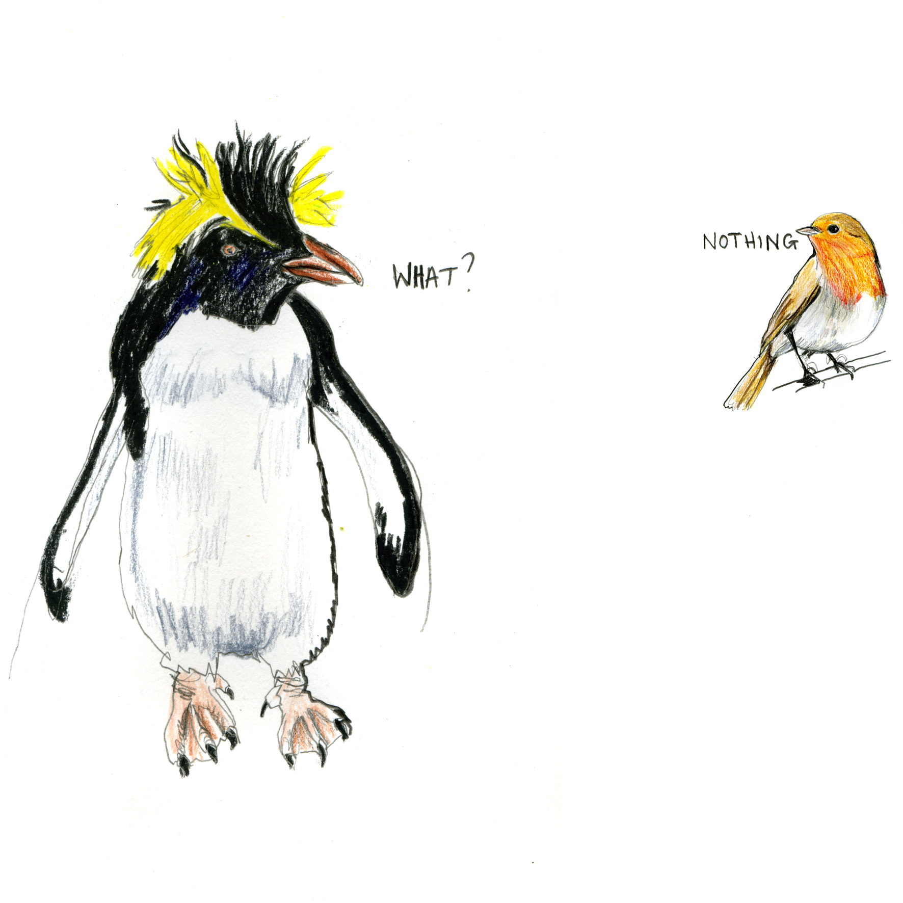 penguin and robin