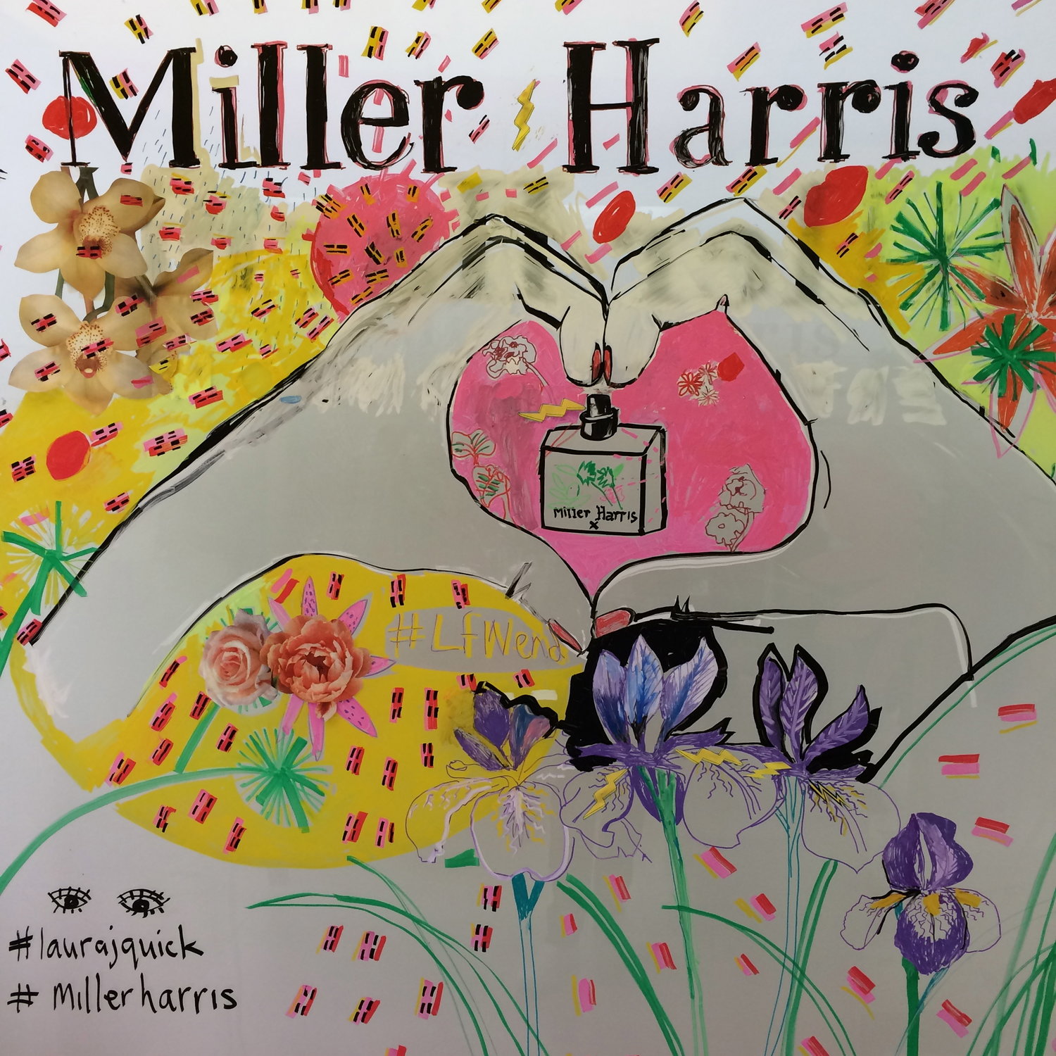 Miller Harris illustration